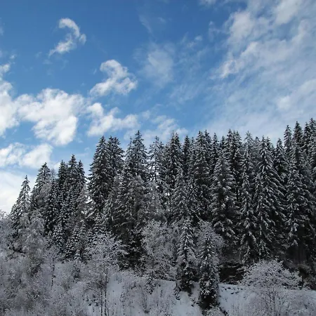 High Class Apartment Near Saalbach Hinterglemm Daire *