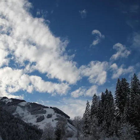 High Class Apartment Near Saalbach Hinterglemm