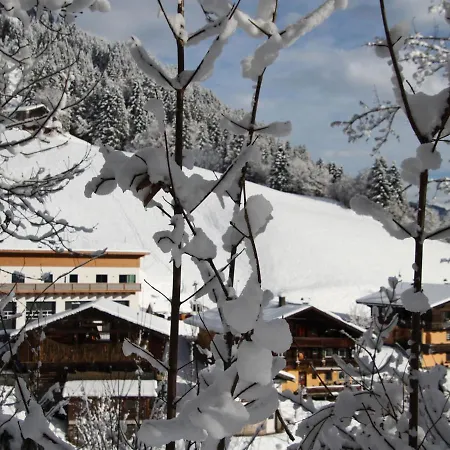 High Class Apartment Near Saalbach Hinterglemm Daire