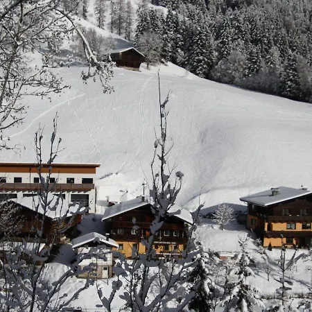 High Class Apartment Near Saalbach Hinterglemm