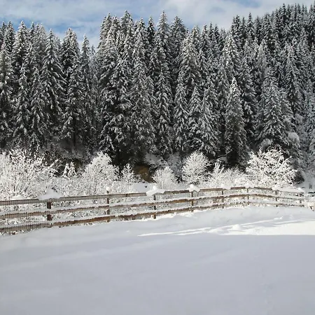 High Class Apartment Near Saalbach Hinterglemm Apartment